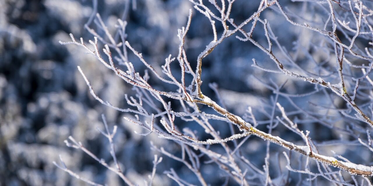 Élvezzék a szombatot, mert vasárnaptól jön a tél
