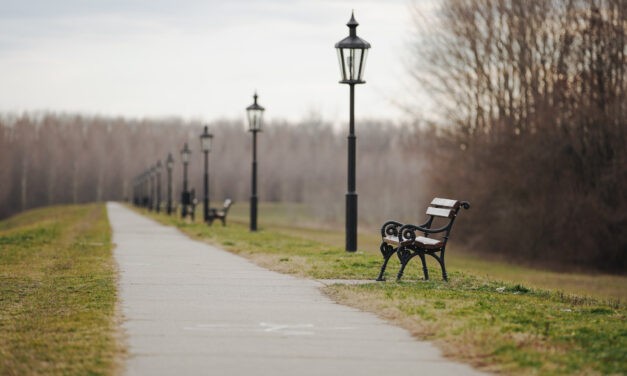 Magyarkanizsán a szavazók több mint fele otthon maradt