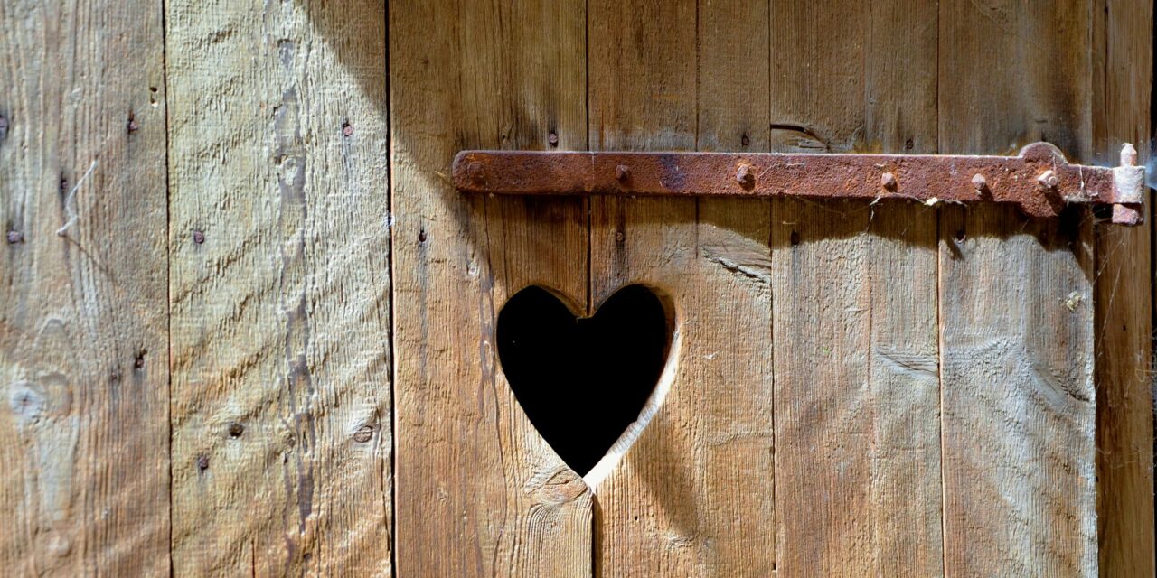 Meghökkentő kérdések a népszámláláson – A wc-től a Skype-használatig