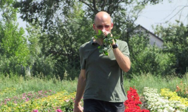 Danyi Zoltán Szépíró-díjat kapott