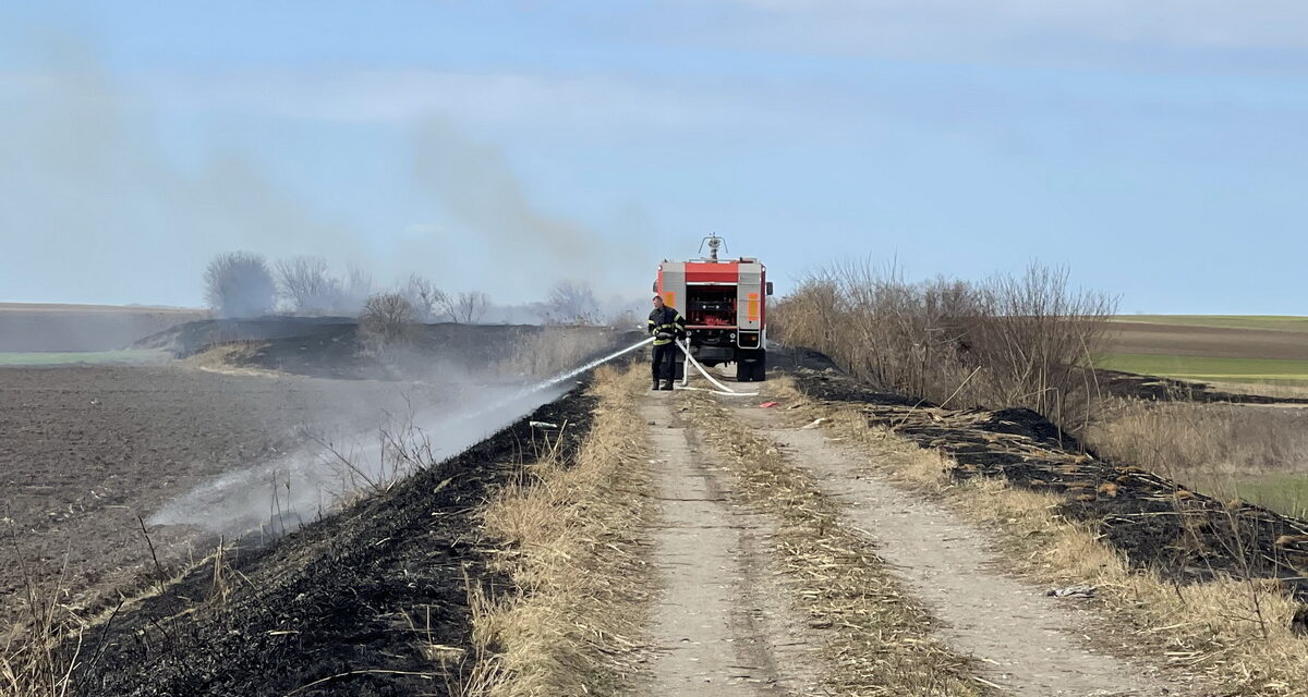 Lángol a tarló Szabadka határában (Galéria)