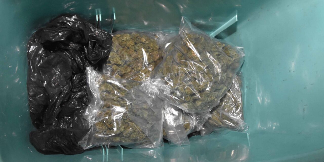 Drogot és pisztoly rejtegetett hűtőtáskájában a tizenéves kishegyesi drogdíler