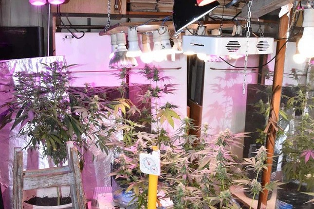 Felfedeztek egy droglaboratóriumot Szabadkán