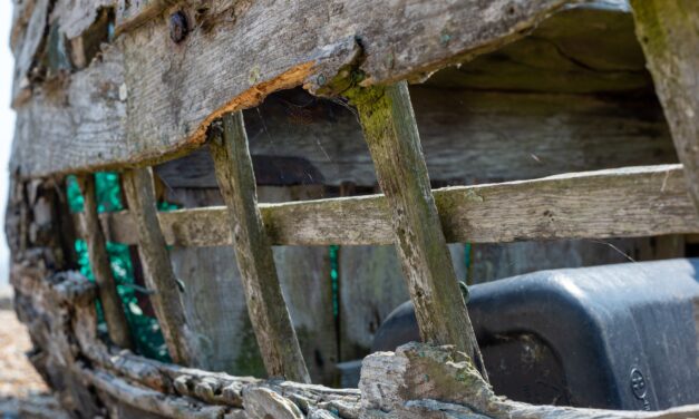 Kiemelnek egy elsüllyedt hajót a Dunából Újvidéknél