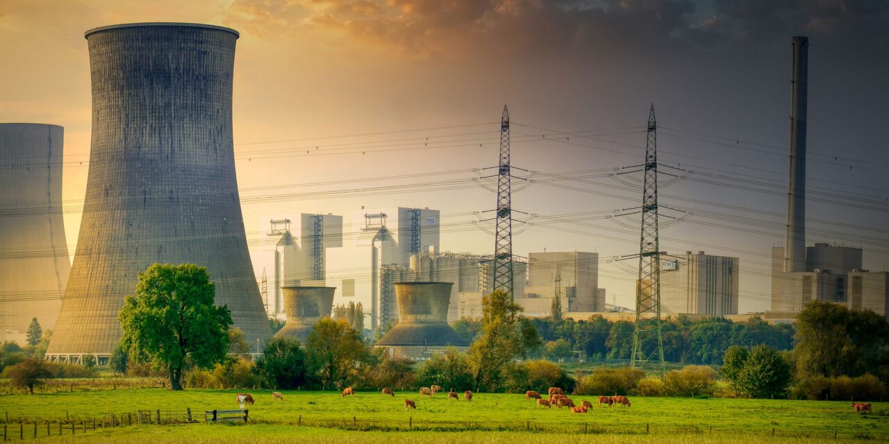 Đurica Tankosić: Az atomerőművek nem veszélyesek