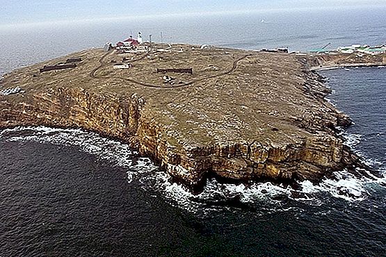 Nem adták meg magukat a Kigyó-sziget védői