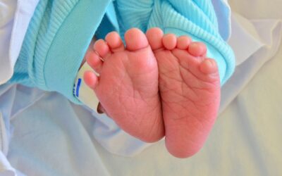 Csaknem rekord: Újvidéken egyetlen nap alatt húsz kisfiú született