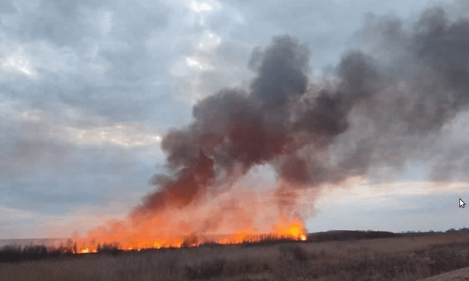 Tüzek pusztítanak Vajdaság-szerte