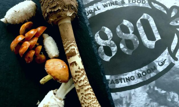 <span class="entry-title-primary">A rántott húson kívül van más étel is a világon</span> <span class="entry-subtitle">Az 1880 natural food & wine étterem szakácsaival beszélgettünk</span>