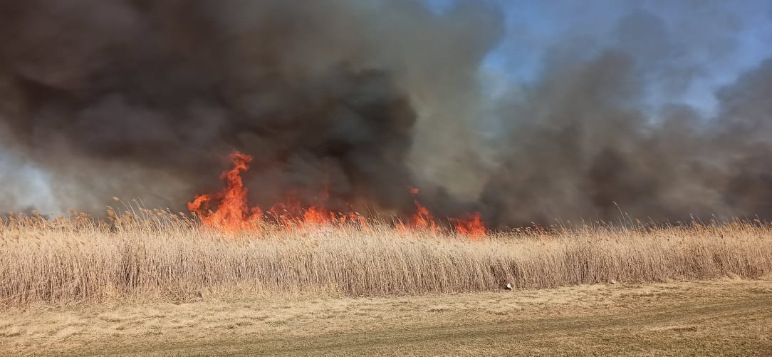 Óriási tűz pusztít a Csík-ér mentén (videó)
