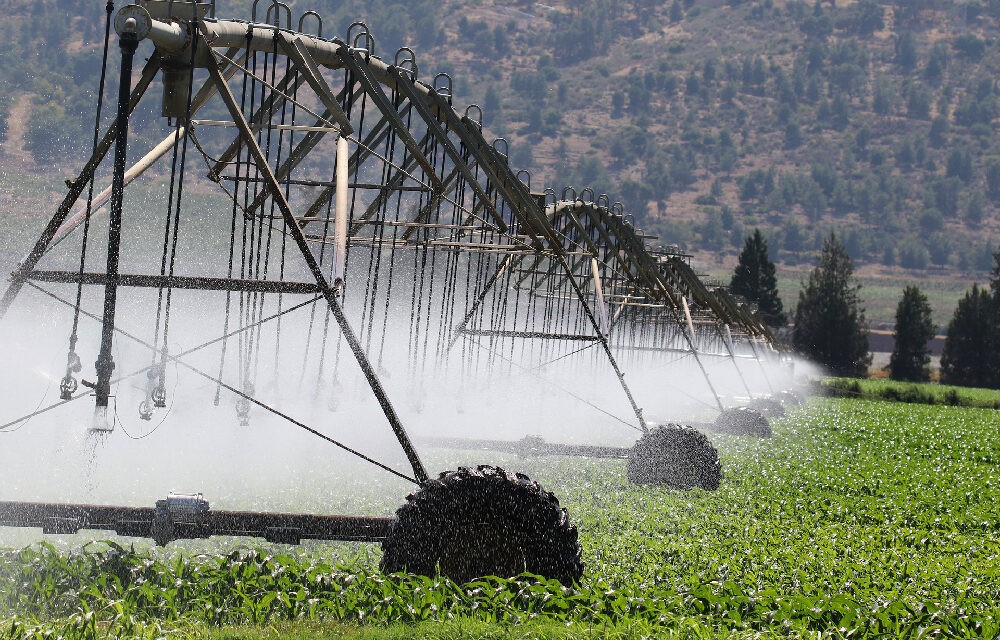 Ellenőrizzék az elektronikus postaládájukat a támogatást igénylő gazdák!