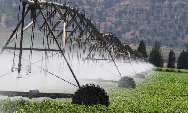 <span class="entry-title-primary">Láthatóvá tenni a láthatatlant</span> <span class="entry-subtitle">Ma van a víz világnapja</span>