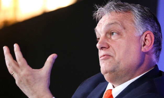 Az alfahím anyasága