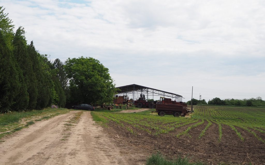 A felsőtavankútiak saját költségükön kénytelenek rendbe hozni a dűlőutakat?