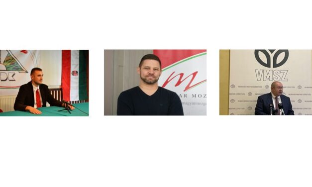 Miért szavazzunk rájuk?