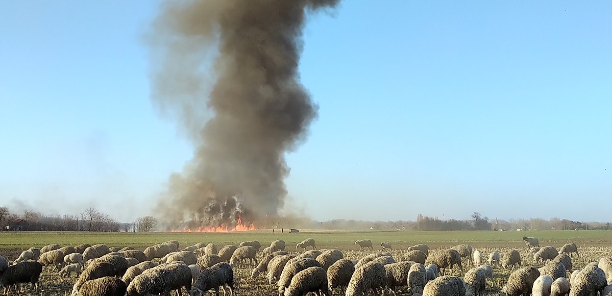 Lángol a kelebiai rét