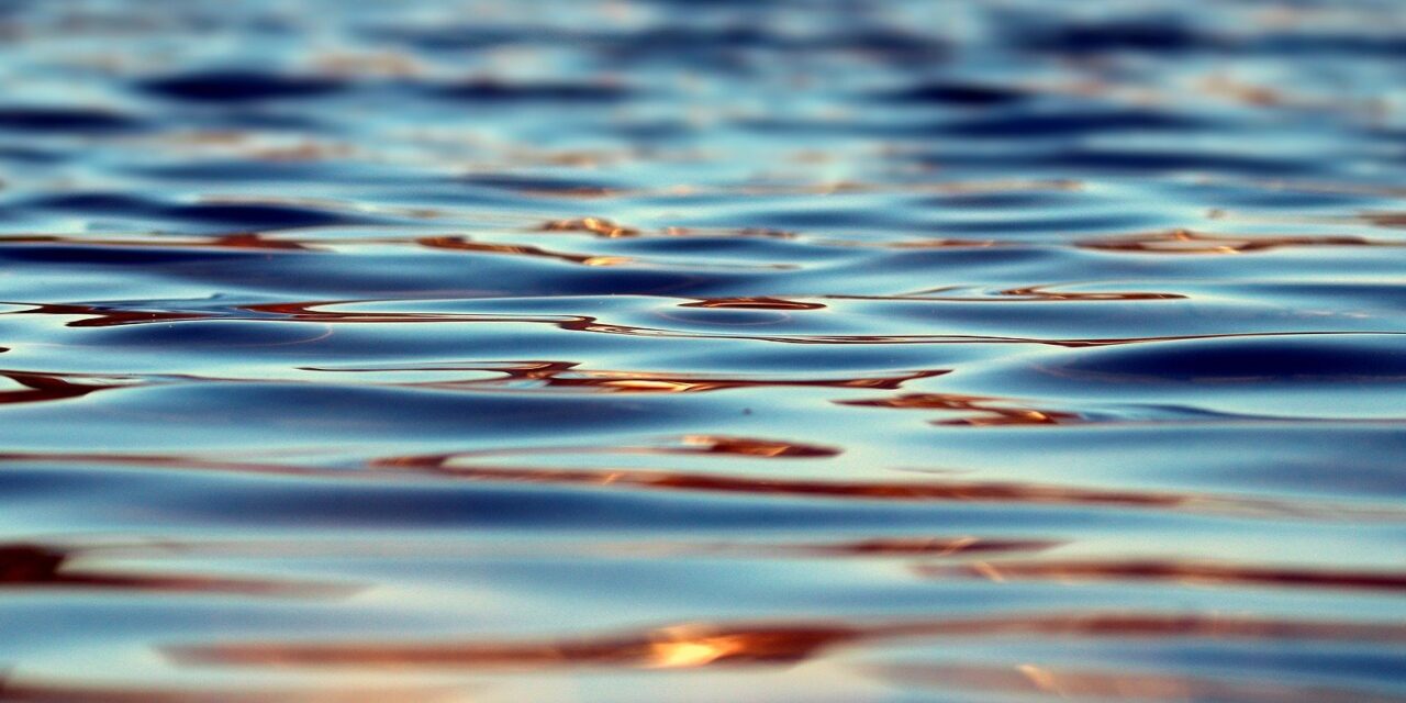 A torontálvásárhelyi tóban találták meg az egy hónapja eltűnt férfi holttestét