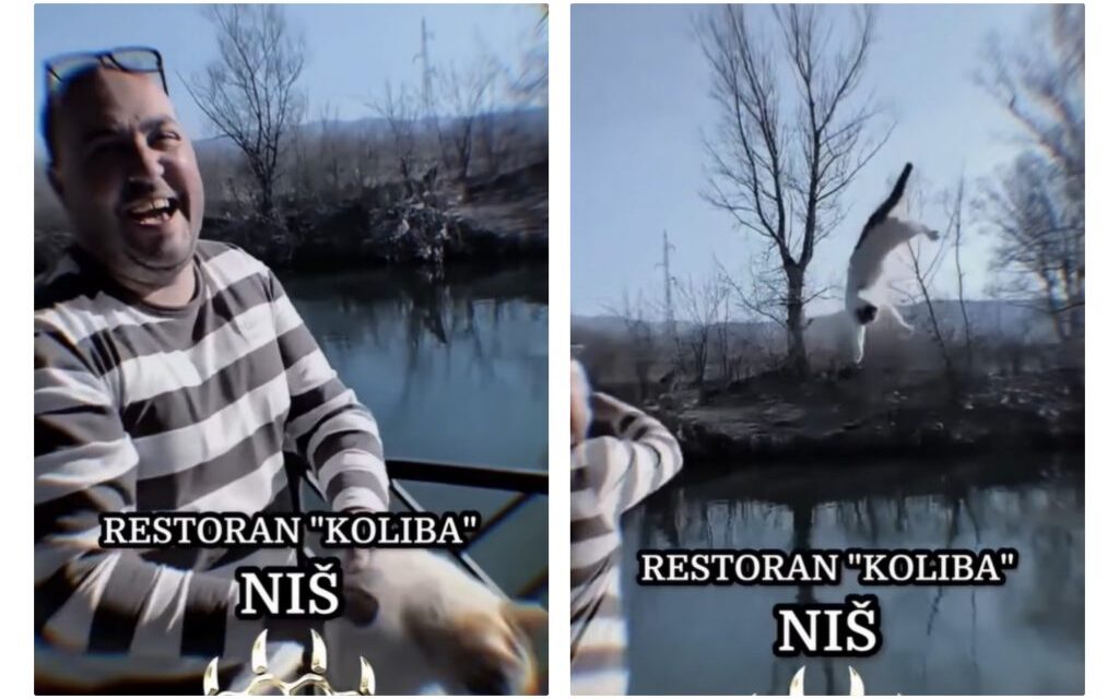 Bedobta a folyóba a macskát, akár börtönbe is kerülhet