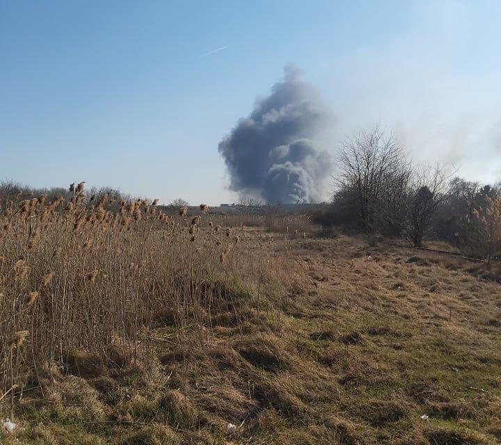 Lángol a nád a Szabadkai Állatorvosi Intézetnél