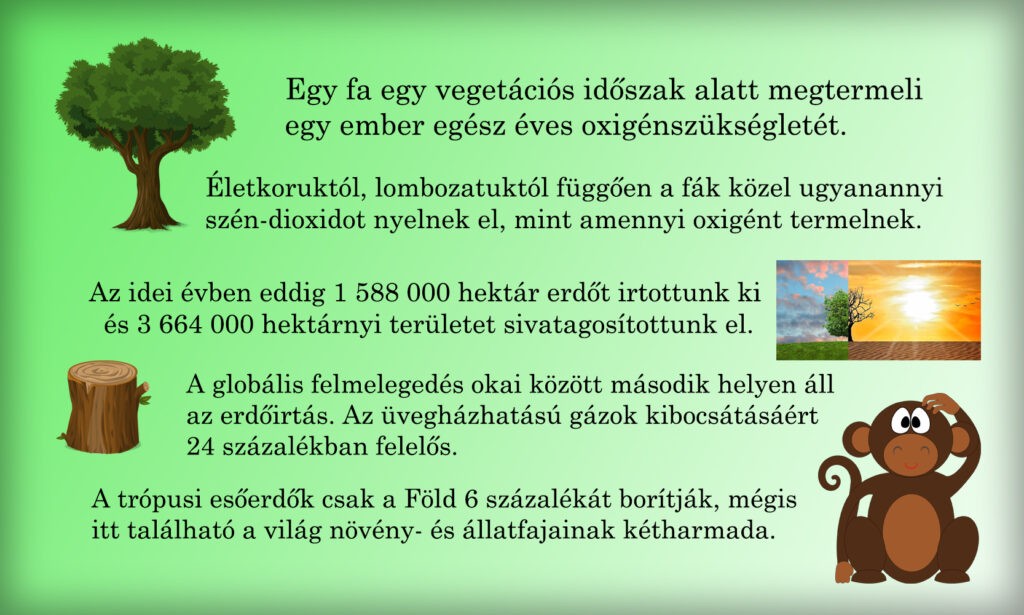 Föld napja 2022: Erdők