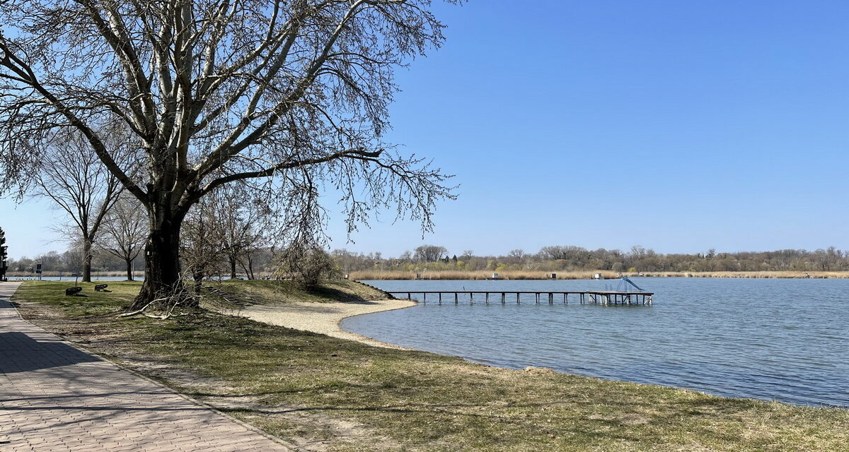 <span class="entry-title-primary">Sokan allergiás reakciókat kaptak a Topolyai-tavon szerzett csípésektől</span> <span class="entry-subtitle">Topolya község az idén sem vizsgáltatta be a víz minőségét, így nem tudni, hogy az alkalmas-e a fürdésre vagy sem</span>