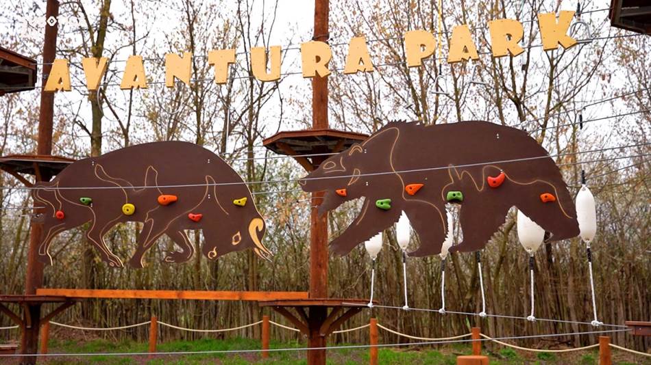 Nemsokára kalandpark is lesz a Palicsi Állatkertben!