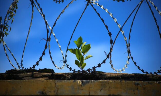 Ötezer elítélt tanult hiányszakmát az elmúlt tíz évben