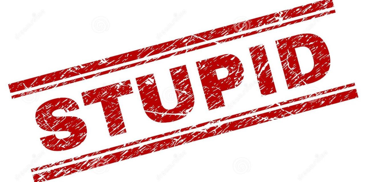 „A maga gyereke hülye”