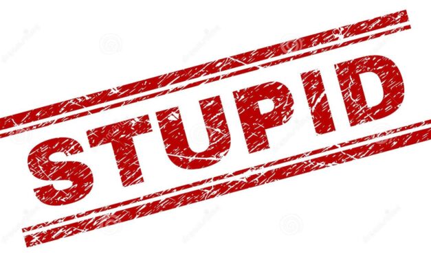 „A maga gyereke hülye”