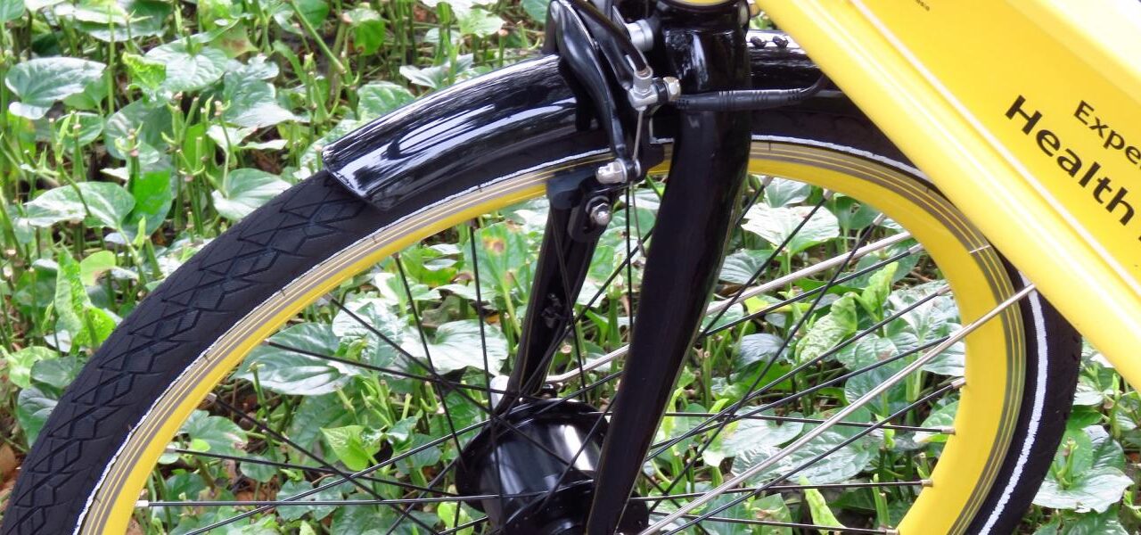 Kitől veszi a Szerb Posta az elektromos kerékpárokat?