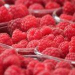 Veszélyes nehézfém a szerbiai málnában: Franciaország visszatartotta a szállítmányt