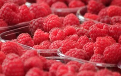 Új-Zélandon olcsóbb a szerbiai málna, mint Szerbiában