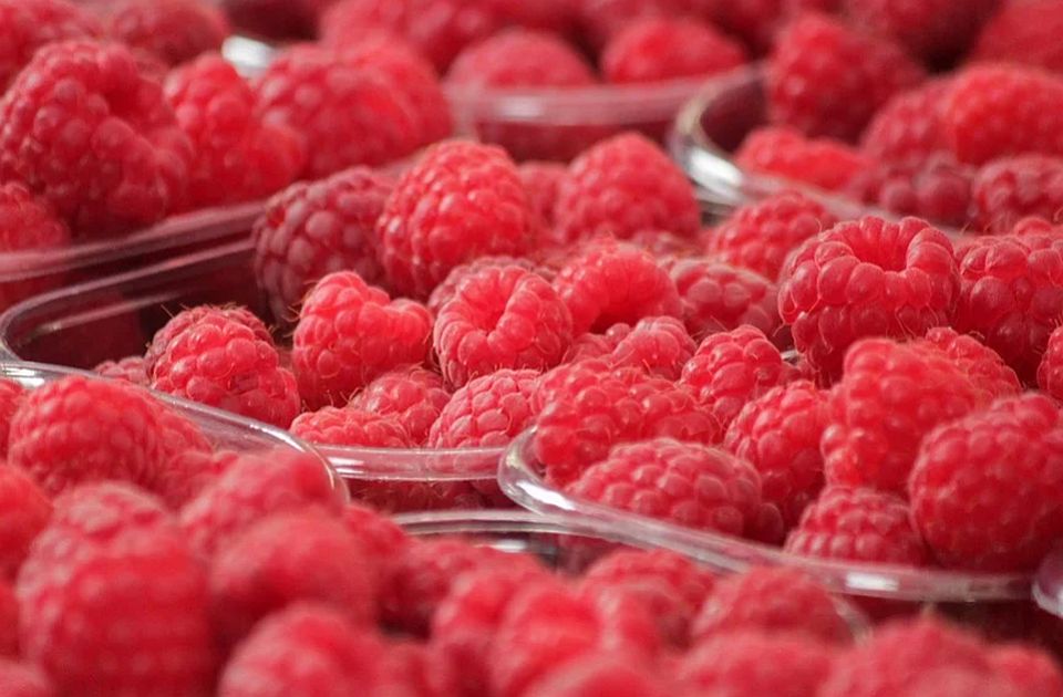 Napi ötezer dinárt kínálnak ezért a munkáért, mégis egyre kevesebben vállalják