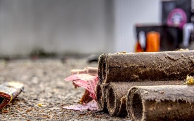 Petícióval kérik a hangos pirotechnikai eszközök betiltását