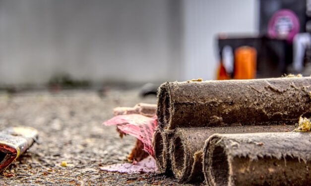 Petícióval kérik a hangos pirotechnikai eszközök betiltását