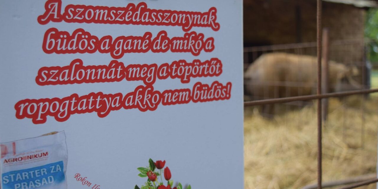 <span class="entry-title-primary">Mi szem-szájnak ingere</span> <span class="entry-subtitle">Rokon Ilonka evangéliuma</span>