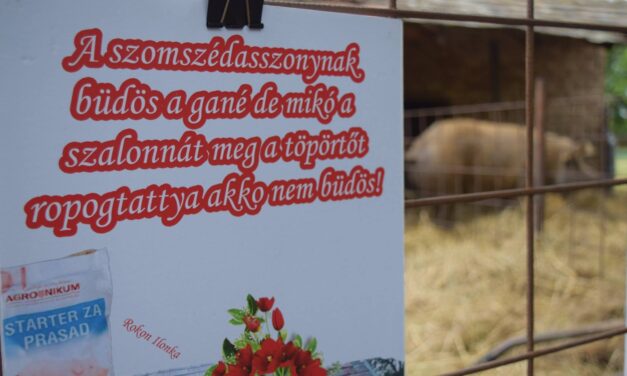 Odavannak a vajdasági magyarok Rokon Ilonkáért