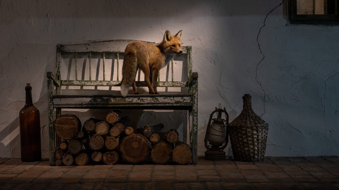 Radisics Milán Roxyval aratott