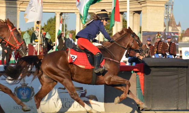 <span class="entry-title-primary">Vajdasággal indul a Nemzeti Vágta</span> <span class="entry-subtitle">Szabadkától Szabadkáig</span>