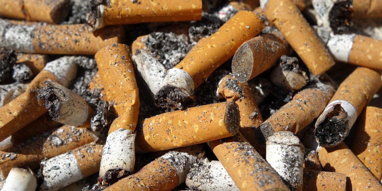 WHO: A dohányipar világvezető a műanyagszennyezésben és a vízpazarlásban is