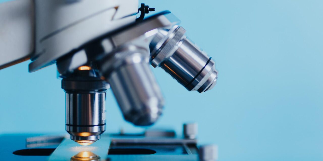 Milliók haláláért felelős gombafaj terjedhet még tovább, ahogy egyre melegebb lesz a Földön