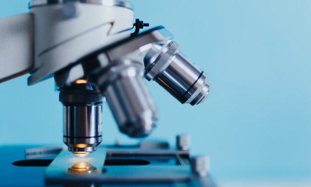 Új, fertőzőbb, ellenálló kólibaktériumot találtak Kínában