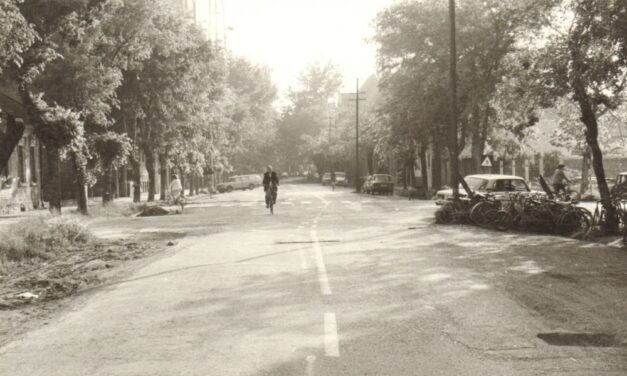 <span class="entry-title-primary">A VMSZ tagad</span> <span class="entry-subtitle">Boris Zec véleménycikke</span>