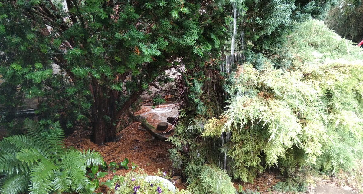 Jégesővel érkezett a vihar Szabadkára (Videó)