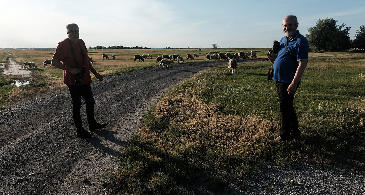 Magyarországi fotóművészek járják Zentát és környékét
