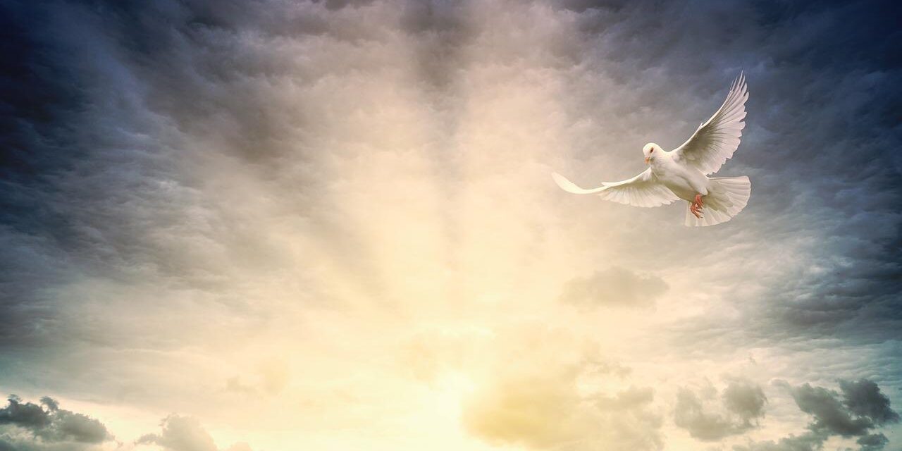 <span class="entry-title-primary">„Amikor minden a visszájára fordul”</span> <span class="entry-subtitle">Pünkösdvasárnap van</span>