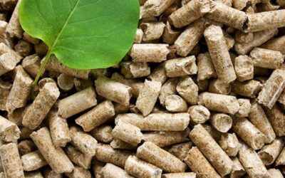 A kormány ideiglenesen megtiltotta a pellet behozatalát