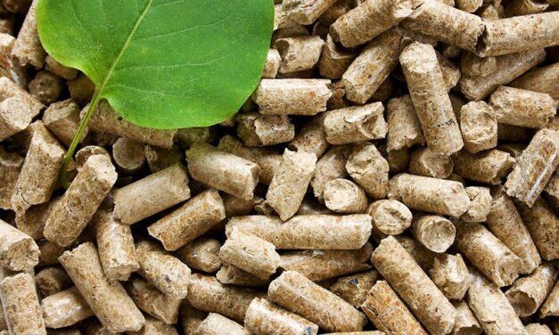 A kormány ideiglenesen megtiltotta a pellet behozatalát