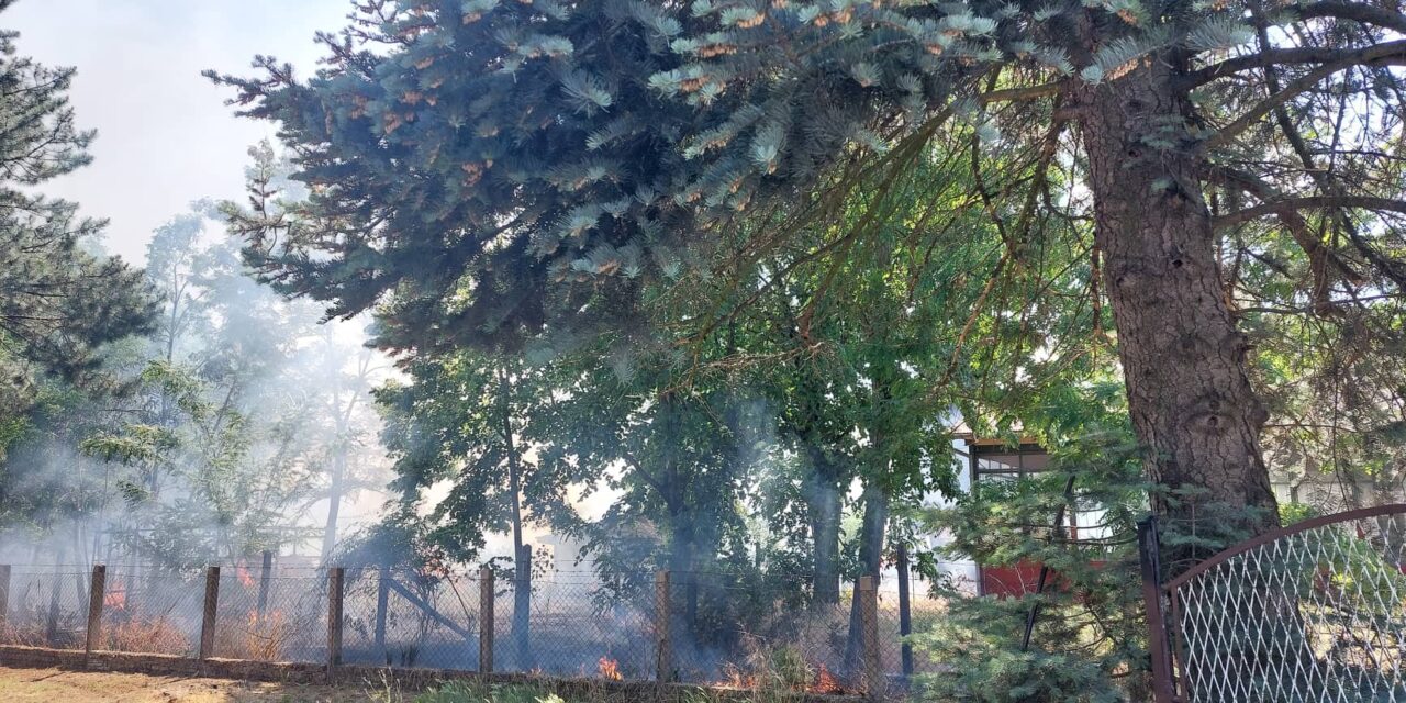 Tűz Palics és Szabadka között