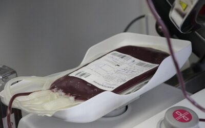 Várják a véradókat, A és 0 vércsoportúakra van szükség az újvidéki tragédia miatt